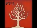 Gojira - Embrace The World