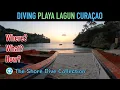 Download Lagu Diving Playa Lagun, Curaçao | The Shore Dive Collection | TropicLens   4K