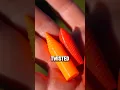 4 MOST PAINFUL Nerf Darts