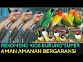 Download Lagu 🔴REKOMENDASI KIOS BURUNG\