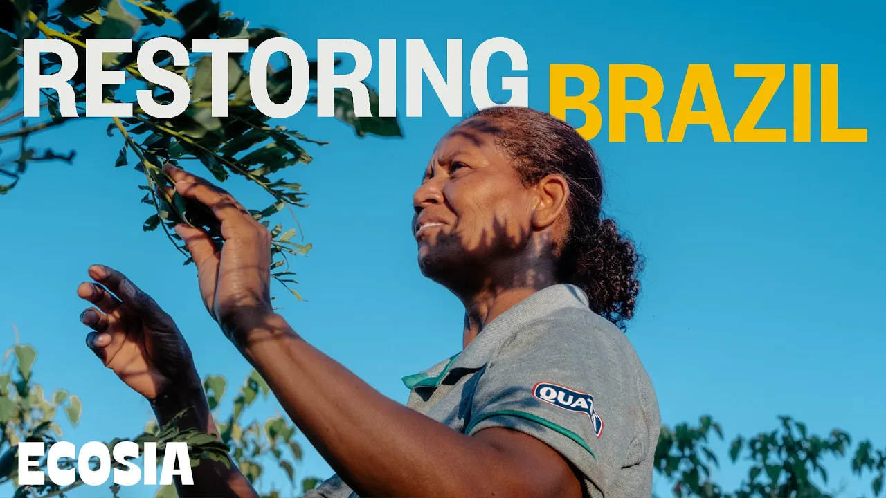 The Remarkable Woman Restoring the Heart of Brazil