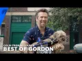 Colin From Accounts Gordon s Funniest Moments Paramount