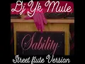 Sability (Street Flute)