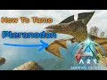 ARK ASCENDED How To Tame A Pteranodon Beginner Dino Guide