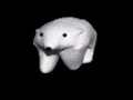 walking polar bear 10 hours