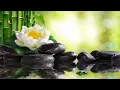 8 Hours of Soft Sleep Music Relaxing Piano Music Deep Sleeping Music Meditation Music