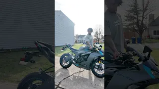                                                                                 دندنها
