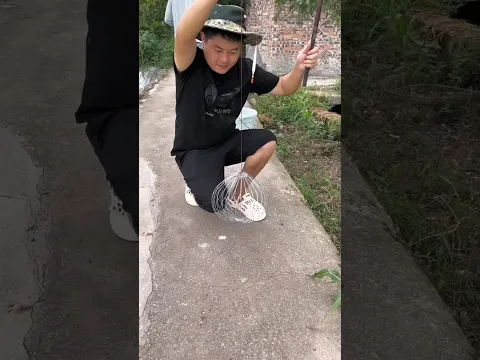 He Tested the Fish Trap… Then the Unexpected Happened! 😱🐟