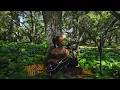 Meadow Spirit (1hr) - Healing Heart Frequency - Feel the Warmth of the Sun