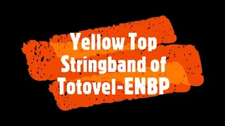 Download Plantation Boy - Yellow Top Stringband MP3