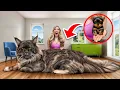 Download Lagu World's BIGGEST vs SMALLEST Pets!