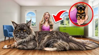 World s BIGGEST vs SMALLEST Pets