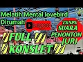 Download Lagu full konslet : Melatih mental lovebird dirumah 1 gantangan full konslet