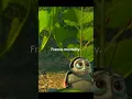 Francis mentality