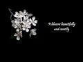 Lagu Hako Yamasaki-White Flower白い花 Eng Sub