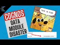 Identifiers vs labels in Cognos Data Modules