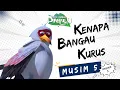 Pada Zaman Dahulu S05E03 - Kenapa Bangau Kurus