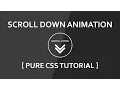 Css Scroll Down Animation - Pure Css3 Effect