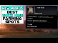NEW WORLD BEST THICK HIDE FARMING SPOTS