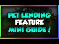 Wizard101 NEW PET LENDING MINI GUIDE