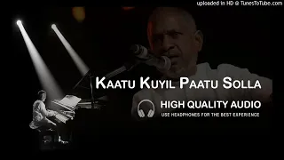 kaatu kuyil paatu solla high quality audio song ilayaraja