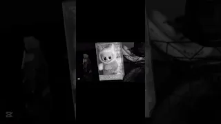 حقيقة دمية لابوبو خطيرة قصص مرعبة 