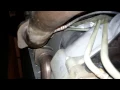 C6 corvette starter removal