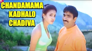 chandamama kadhalo chadiva ravi teja vani romatic song teluguvideoz