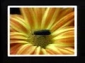 Download Lagu Kodak Video Programs: Exploring Photography Prize-Winning Pictures