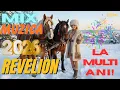 Lagu 🔥 REVELION 2026 | COLAJ IARNĂ NON-STOP ❄️ MEGA MIX PETRECERE – Marishka Music
