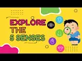 Explore the 5 Senses Fun Science for Kids Elementary Explorers