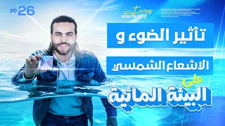 شرح الدرس الثامن تأثير الضوء والاشعاع الشمسي على البيئات المائية متبقاش جهاز 