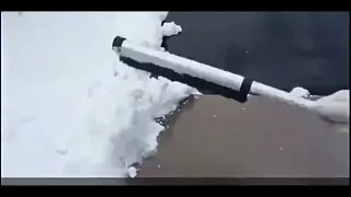                              دندنها