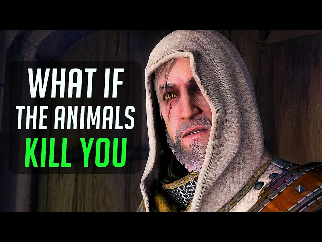 What if the stuffed animals kill you? | The Witcher 3