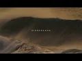R3DN1K - Dissonance