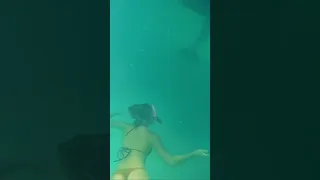 I CANT BELIEVE THIS HAPPENED! #shorts #sailing # #boatlife #boat