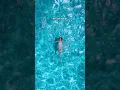 Download Lagu what if Floating is all you can do? 🩵🫧 #jadafacer #float #healing #singersongwriter #originalmusic