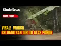 Lagu Viral! Banjir Aceh Mematikan, Warga Selamatkan Diri di Atas Pohon | Sindo Today | 28/11