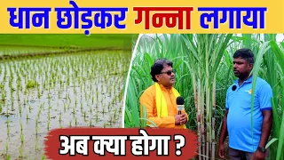 धान छोड़कर Sugarcane Farming शुरू की, 9 Feet गन्ना कैसे हुआ? | बालोद, छत्तीसगढ़