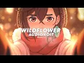 Download Lagu billie eilish - wildflower (tiktok version) [edit audio]