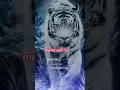 Download Lagu charisteas#storywa15detik (Jangan pernah membuat ku marah) #shorts tiktok macan prabu siliwanggi
