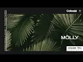 Enhanced SiriusXM Chill Takeover molly