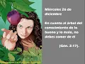 Miercoles 26 de diciembre