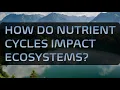 How Do Nutrient Cycles Impact Ecosystems