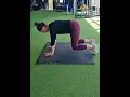 Bear Crawl position - plank