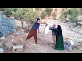 Download Lagu The Destruction of a Dream: Mehri and Hussein and the Bitterness of the Landlord (Disappointment)