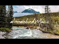 Indie/Pop/Folk Compilation • March 2026 🏞️ (new indie discoveries | 2.5-hour playlist)