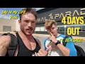 4 Days out Animal Paradise Gym Review ft bensag