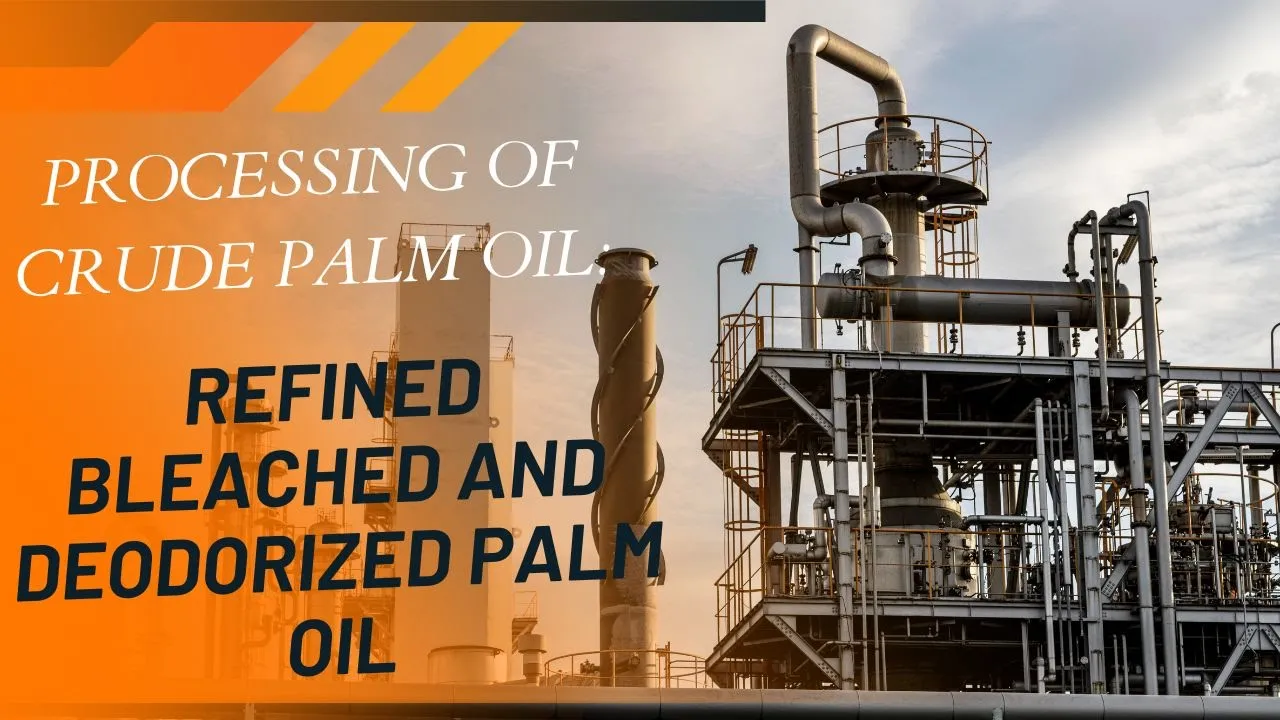 Outline Video Processing of Crude Palm Oil into Refined Bleached and Deodorized Palm Oil