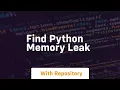 find python memory leak